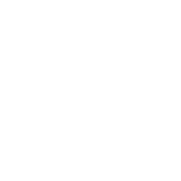 Stabilizer Rig Camera Icon