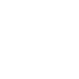 Street Camera Icon