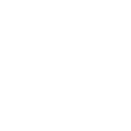 Street Chart Icon