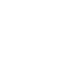 Street Lock Icon