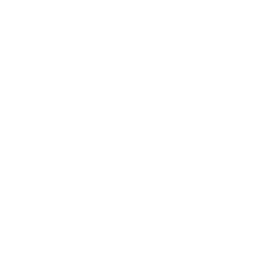 Street Measure Icon