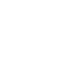Street Mind Icon