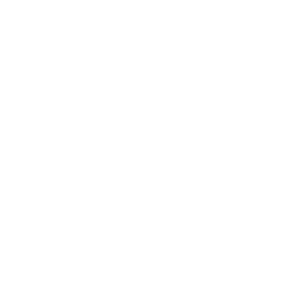 Street Report Checklist Icon