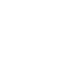 Street Search Icon