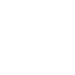 Street Shield Icon