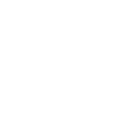 Street Video Icon