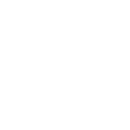 Substation Drone Fixed Wing Icon