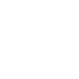 Sun Checkmark Icon
