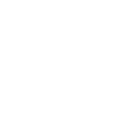 Transmission Tower Annotated Icon