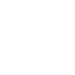 Transmission Tower Charge Icon