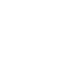 Transmission Tower Health Icon