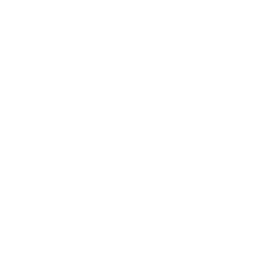 Transmission Tower Report Annotated Icon