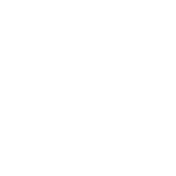 Transmission Tower Report Charge Icon