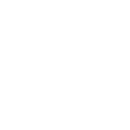 Transmission Tower Report Checklist Icon