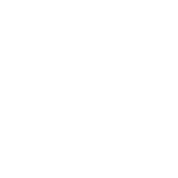 Transmission Tower Report Settings Icon