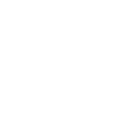 Transmission Tower Report Icon