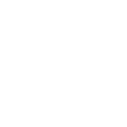 Trophy Drone Race Icon