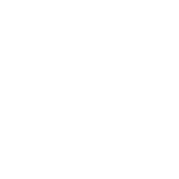 United States Drone Icon