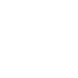 Video Frame Pin Icon