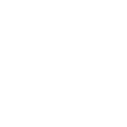 Video Frame Retouch Icon