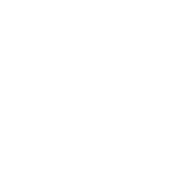 Viewfinder Icon